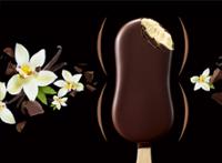 4 PARENTHESE VANILLE CHOC NOIR