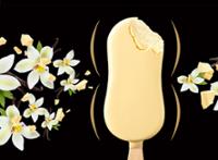 4 PARENTHESE VANILL CHOC BLANC