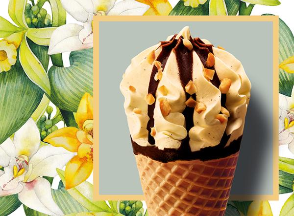 6 CORNETS VANILLE 420G