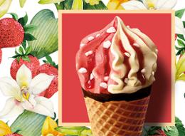 6 CORNETS VANILLE-FRAISE 444G