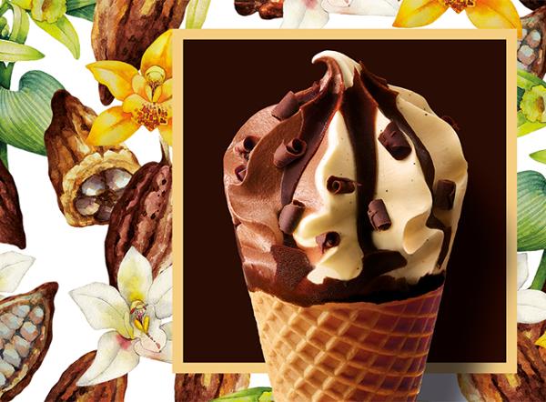 6 CORNETS VANILLE-CHOCO 420G