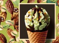 6 CORNETS PISTACHE-CHOCO 420G