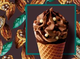 6 CORNETS 3 CHOCO 420G