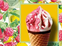 6 CORNETS CITRON-FRAMBOIS 468G