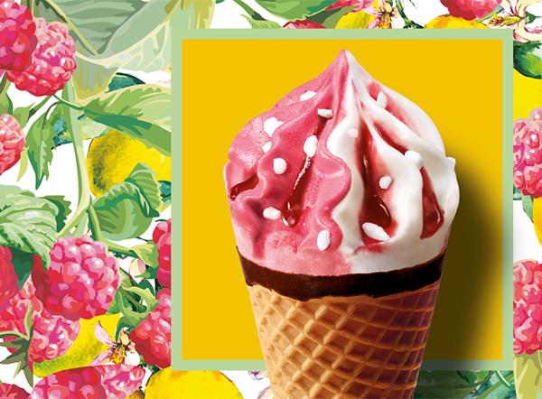 6 CORNETS CITRON-FRAMBOIS 468G