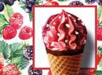 6 CORNETS FRUIT-ROUGE 468G