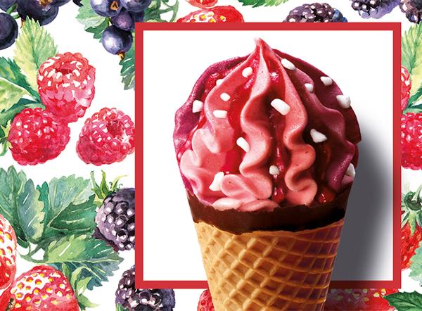 6 CORNETS FRUIT-ROUGE 468G