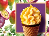 6 CORNETS MANGUE PASSION 468G