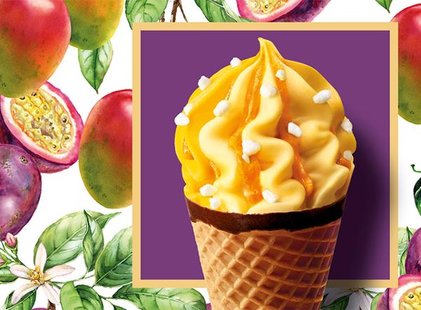 6 CORNETS MANGUE PASSION 468G