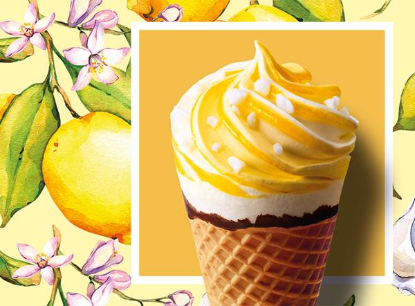 6 COR CITR MERIN AC SAUCE 462G