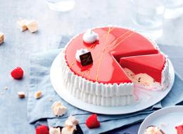 VACHERIN FRAMB NOUGAT 520G