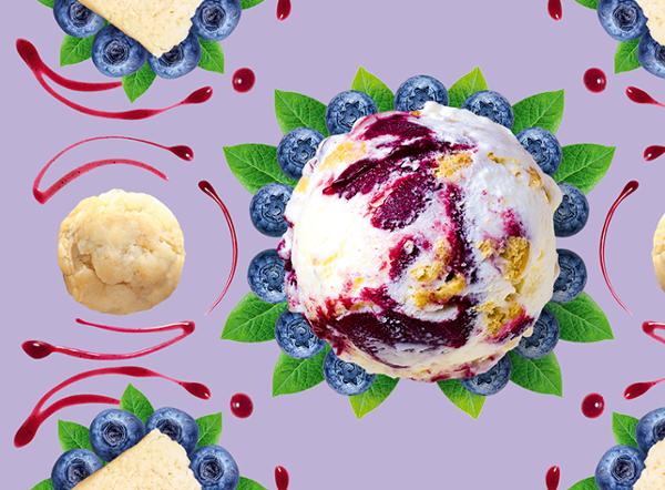 500ML GD CHEESECAKE MYRTILLE