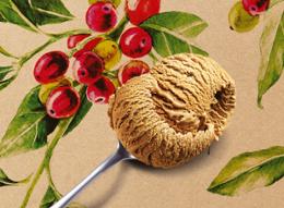 500ML PM CG CAFE ARABICA 350G