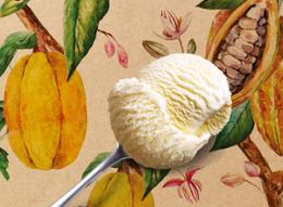 500ML PM CHOCOLAT BLANC 350G