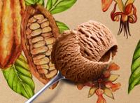 PM CG CHOCOLAT AU LAIT 350G