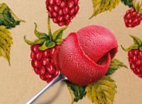 500ML PM PF FRAMBOISE 390G