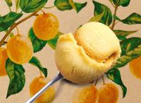 500ML PM MIRABELLE 390G