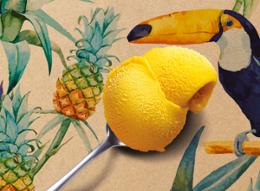 500ML PM PF EXOTIQUE 390G