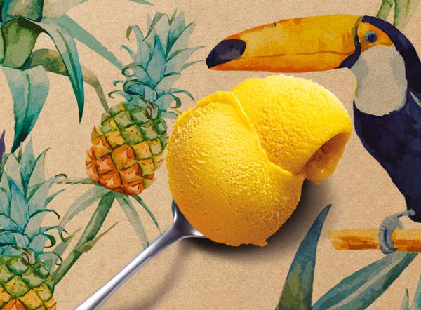 500ML PM PF EXOTIQUE 390G