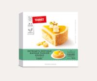 ENTREMETS EXOTIQUE 730G