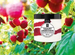 500ML ARTISAN YAOURT 395G