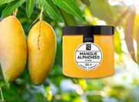 500ML ARTISAN MANGUE 425G