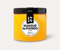 500ML ARTISAN MANGUE 425G