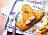 4 PORTIONS COLIN ALASKA PANEES