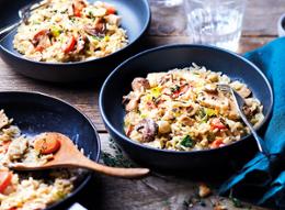 BLANQUETTE DE POULET-RIZ 900G