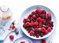 MELANGE DE FRUITS ROUGES 450 G