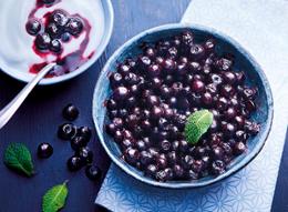 MYRTILLES SAUVAGES 450G