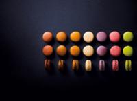 12 MACARONS COLLECTION 192G